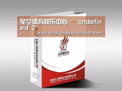 项目名称十三