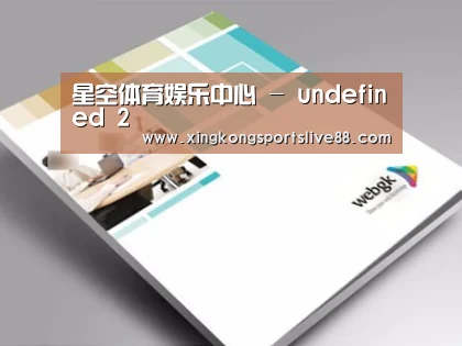 项目名称九
