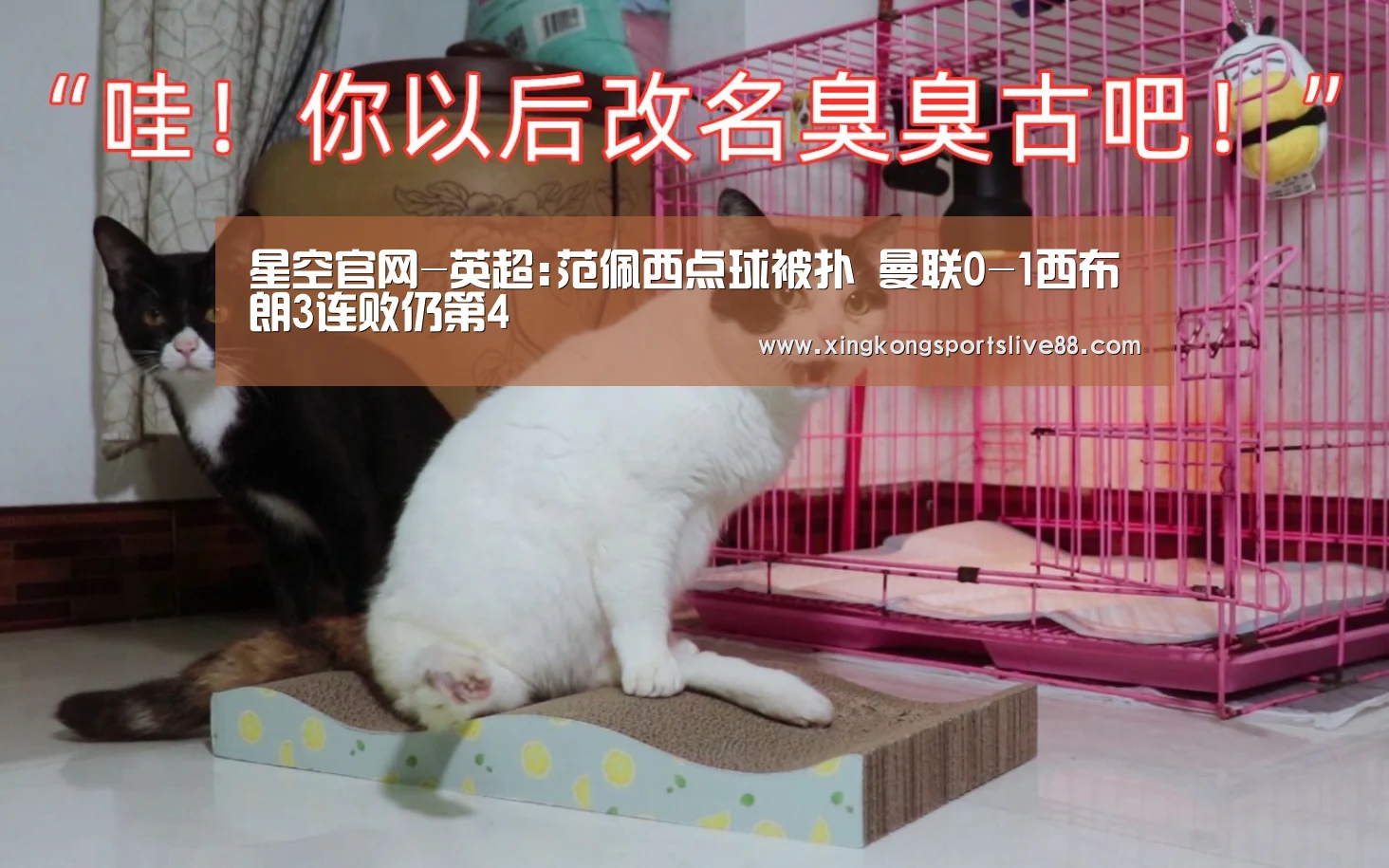 星空官网-英超:范佩西点球被扑 曼联0-1西布朗3连败仍第4(图1) 星空体育